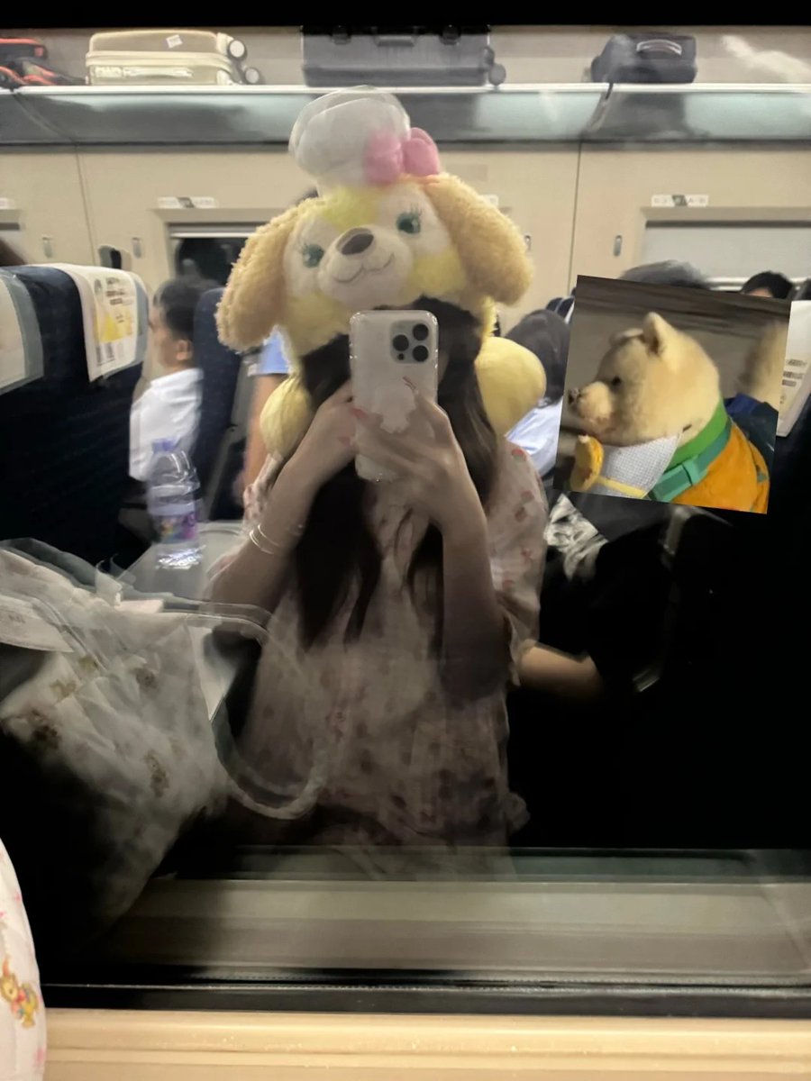 艾莉塔 tweet media