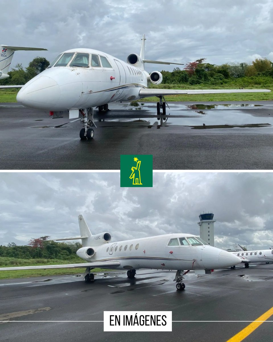 Diario Libre tweet media