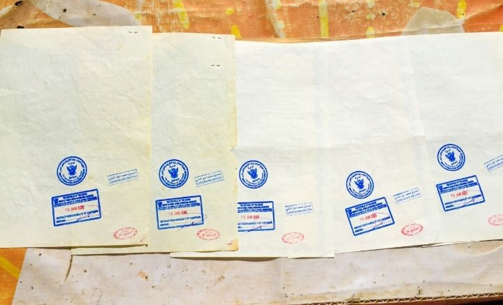 هبنبن🐌 tweet media