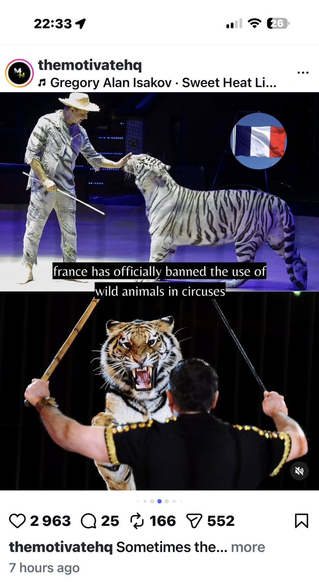 MrsKateStewart's tweet photo. @geordinhl time to stop @mclarenscircus for good! Enough torturing and exploiting wild animals in circuses! @bwcv @NSPCA_SA https://t.co/mitu0kMBF2
