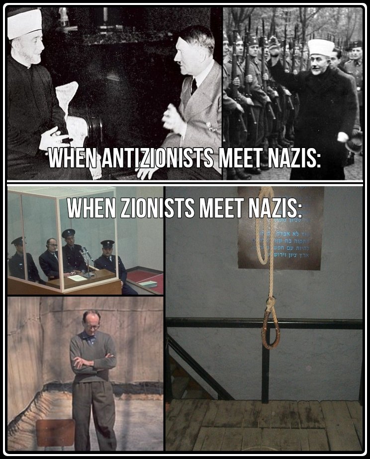 Grogroleo5 tweet media