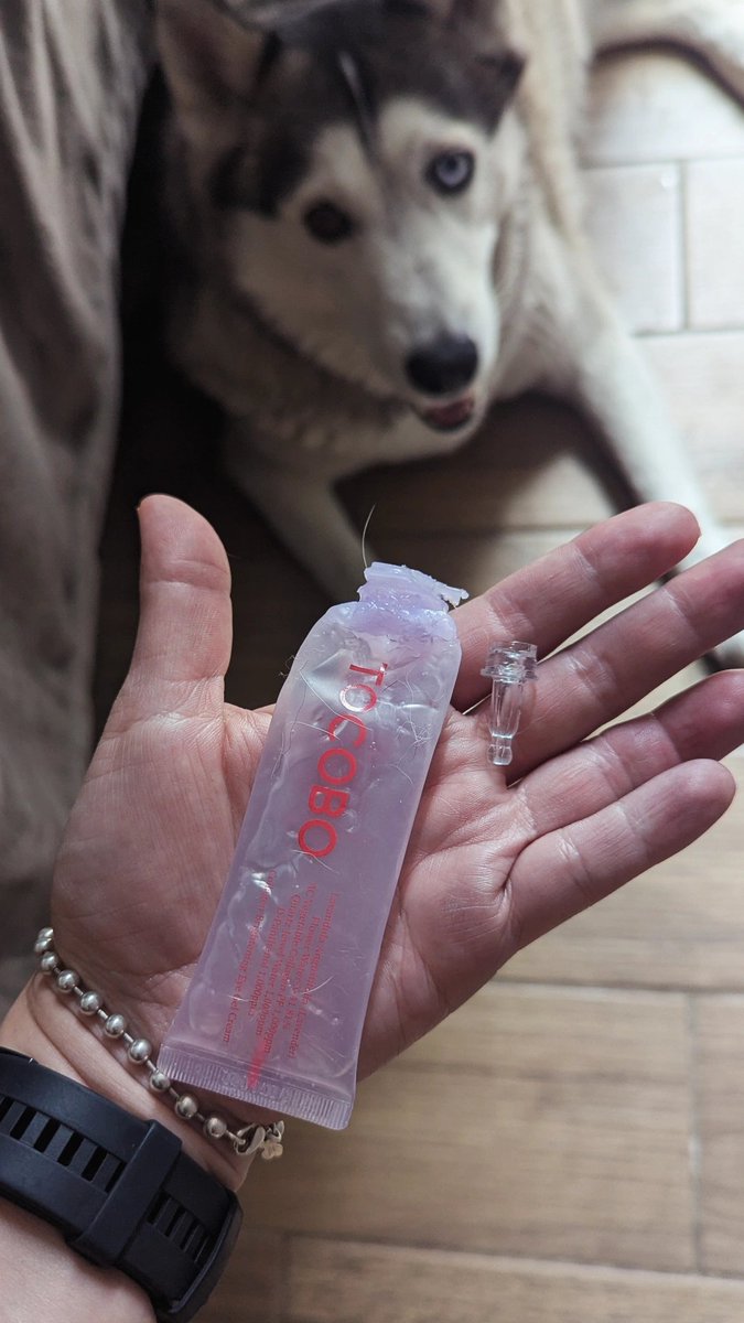 No pinchis tengan huskys