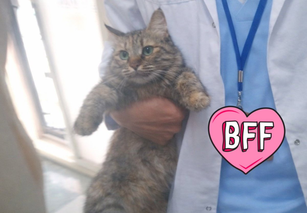 يَعـقُوب tweet media