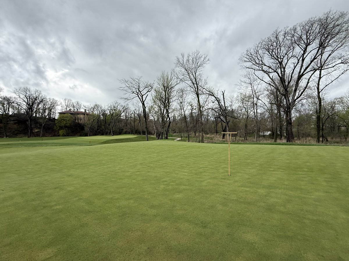 Bendelow Greens tweet media