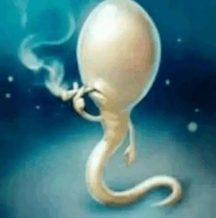 Luci 🪽 tweet media