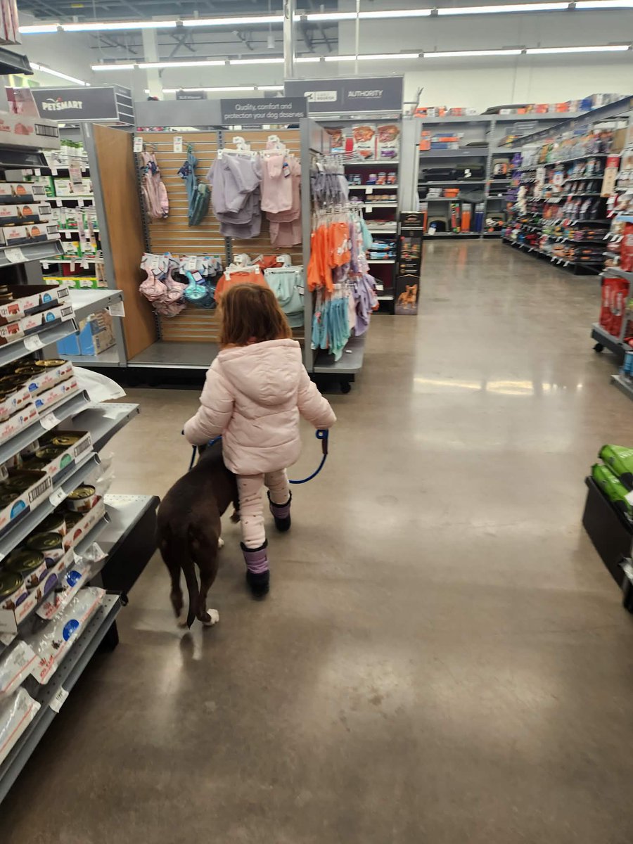 BalancedCountry's tweet image. Wee Wednesday!

Whenever I work with families I always encourage everyone taking part. Young children especially benefit from participating to help establish a proper order within the family #DogsAreFamily #DogLovers #DogOfTheDay  #Wednesday