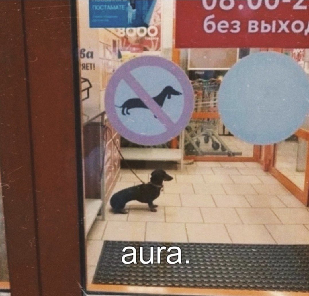 nvvarroo's tweet photo. Aura https://t.co/nqCenQYxIa