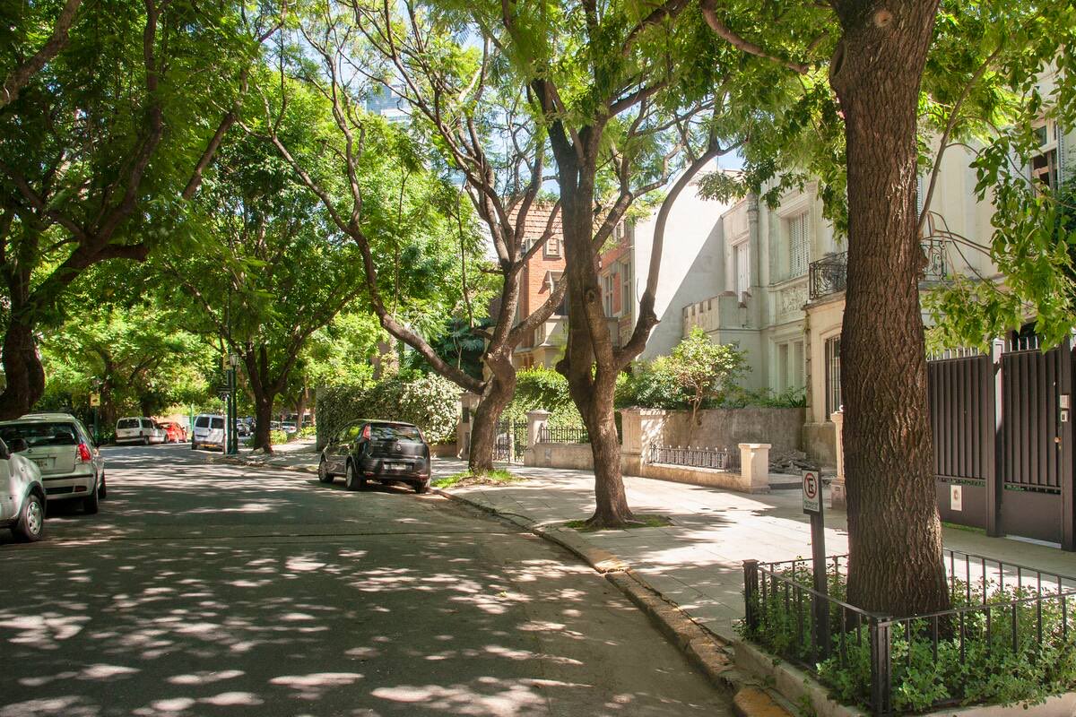 Charles Thays tweet media