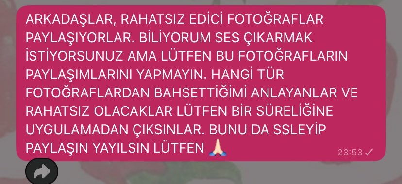 shayla 🎗️ | ENHYPEN IS 7 tweet media