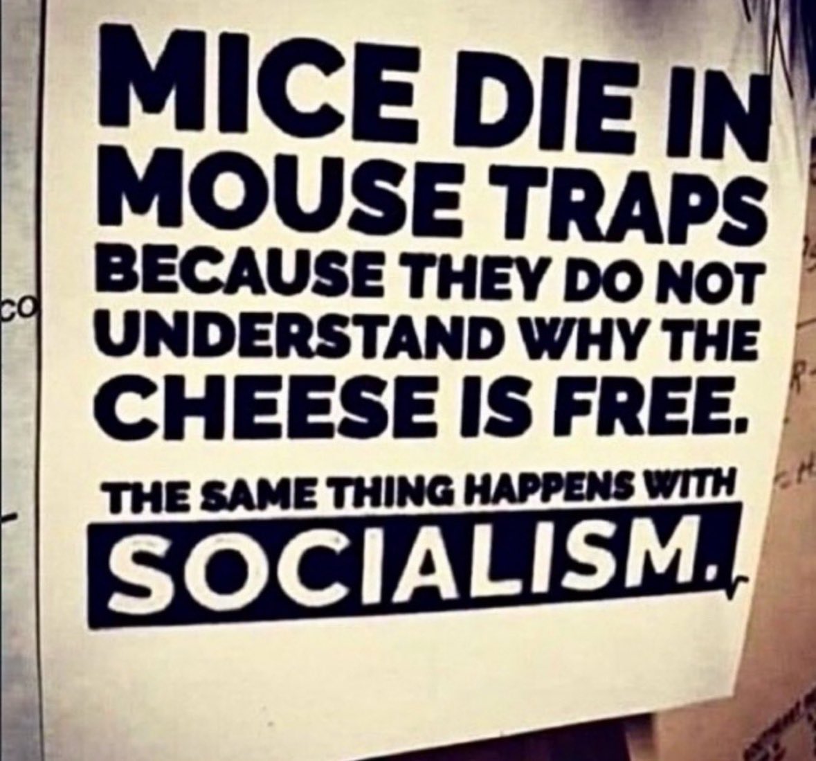 King Trevor tweet media