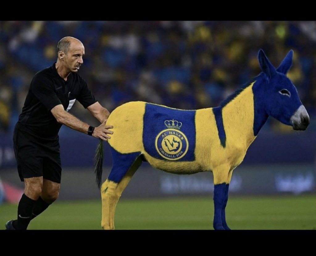 💙بطل القارة 💙 tweet media