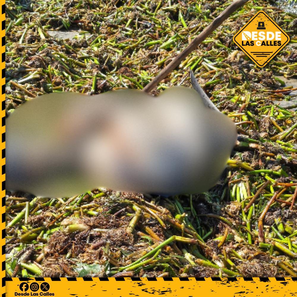 Desde Las Calles tweet media