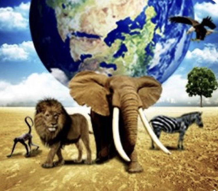 need to be the best before need to the rest tweet media