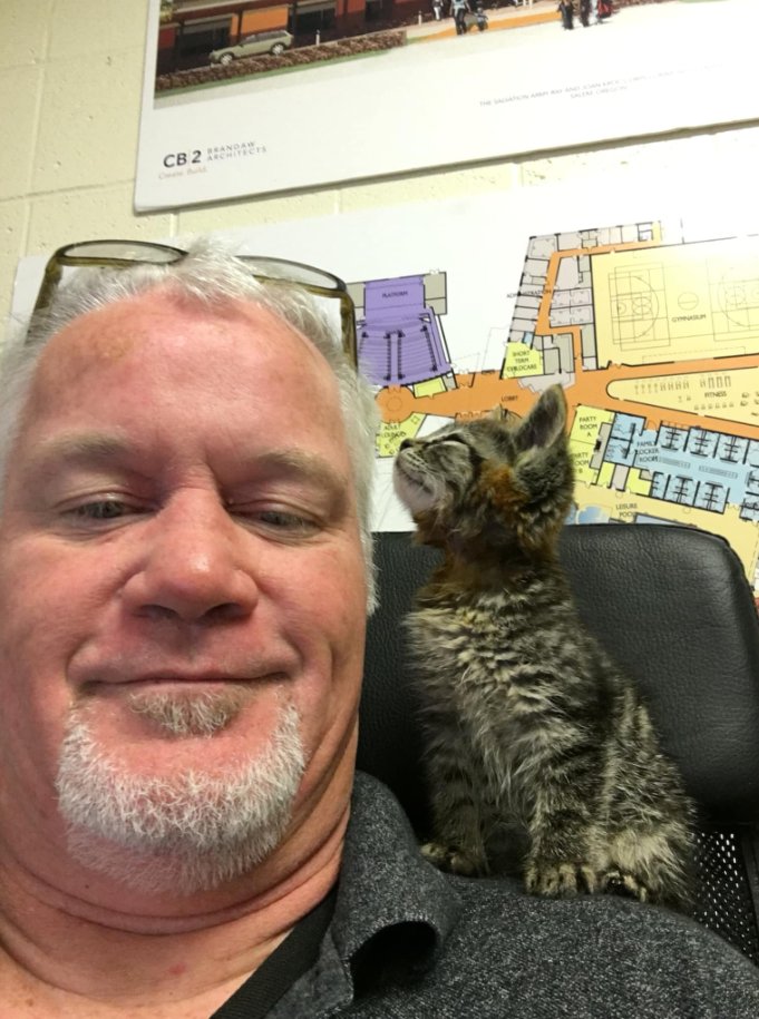 Best in Dogs tweet media