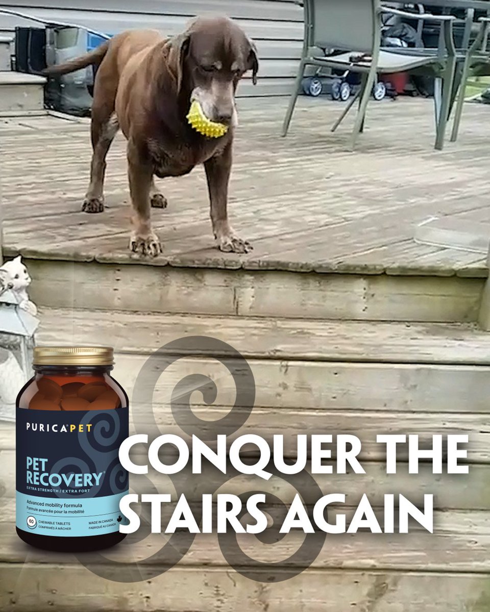 ChoicesMarket's tweet image. GIVEAWAY with @PuricaWellness! 🐾

THREE lucky winners will receive a Purica Pet Recovery Triple Pack (valued at over $175!), a supply for up to 1 year for a small dog or cat.

Visit our Facebook or Instagram post to enter!

#ChoicesMarket #Giveaway #PetWellness #HealthyPets