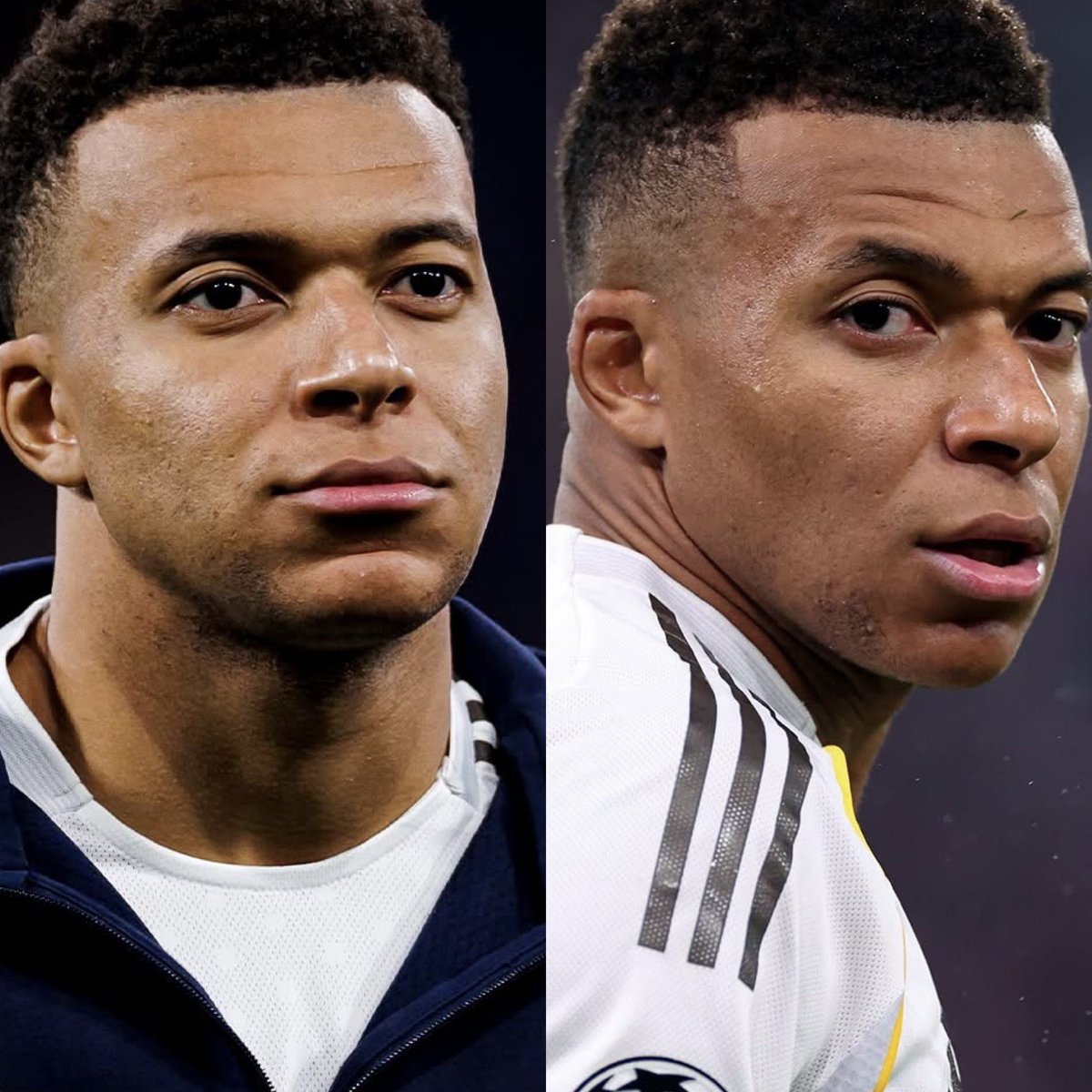 Cerebros tweet media