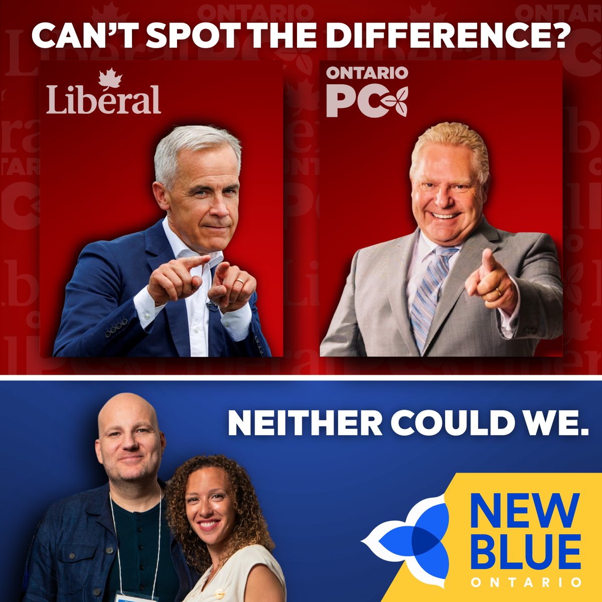 New Blue Party of Ontario tweet media