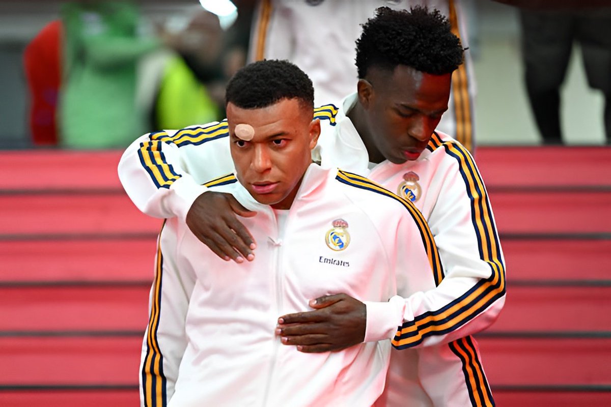 محمود مجيد tweet media