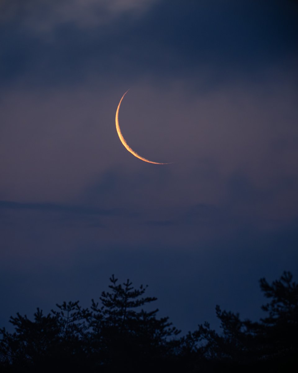 今朝の月です。
明け方の東の空に美しい月が見えていました。
明日4月17日が新月なのでとても細い月ですね。月齢28.8です。
来週からは日没後に月が見やすくなってきます。
晴れた夜にはのんびりと月を眺めてみましょう。