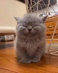 RothStuff! 2/3 tweet media