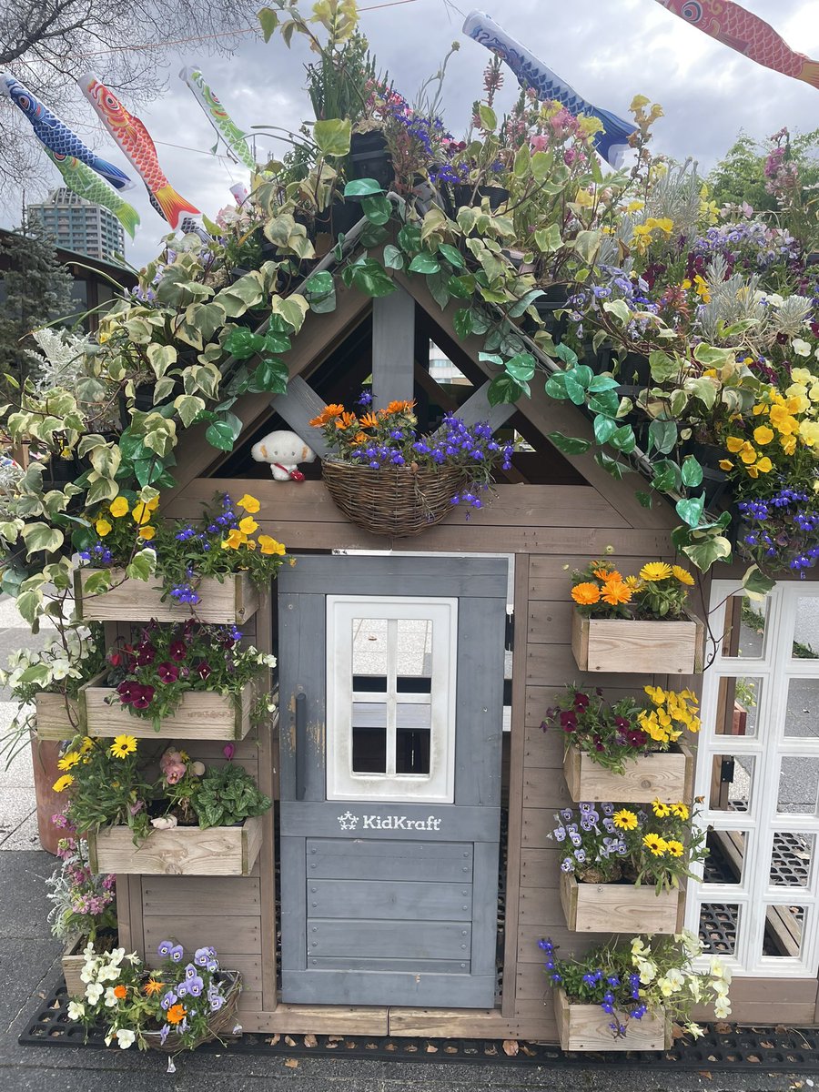 HARUパンダ🐼 tweet media