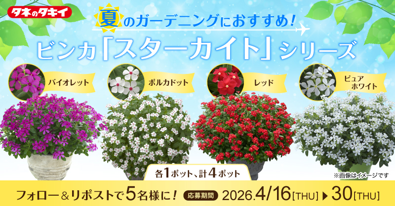 【公式】タキイ種苗株式会社(タネのタキイ) tweet media
