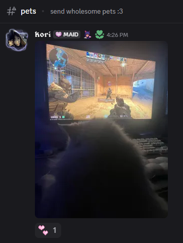 Punished Silveraxe 🐑 tweet media