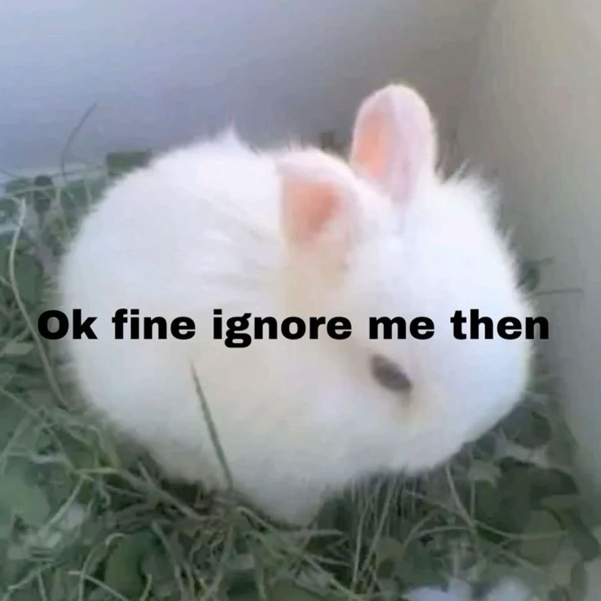 ★?♡ ✚! tweet media