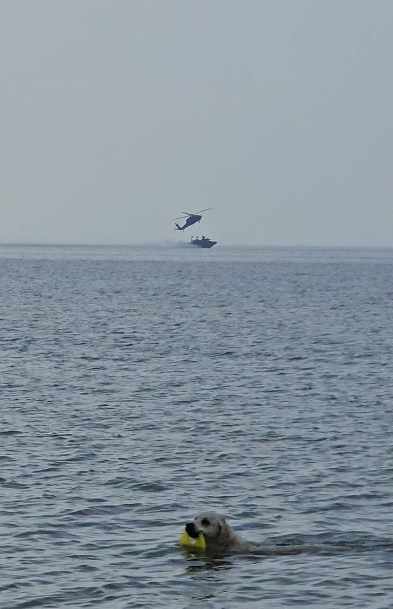 Michalina Kobla tweet media