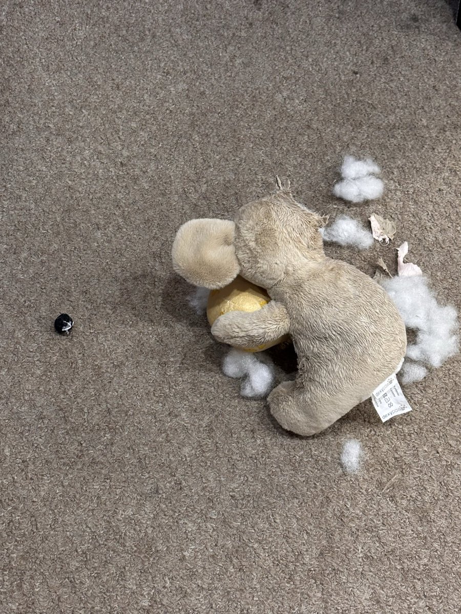 Pittsburgh Comics tweet media