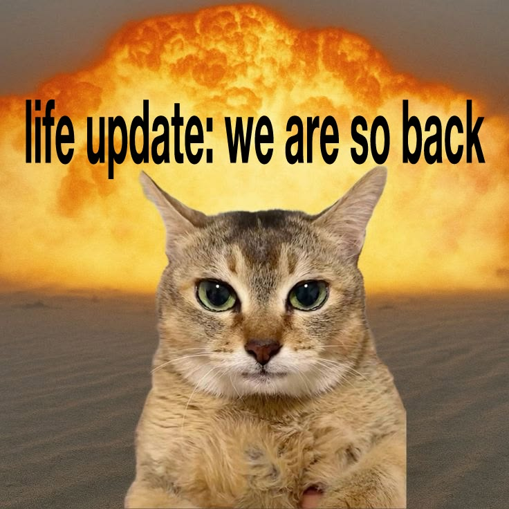 Cat Posted tweet media