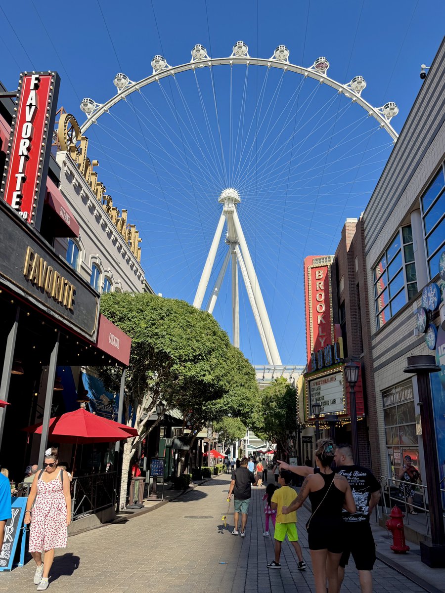 Wombat_Mätt ✭ tweet media