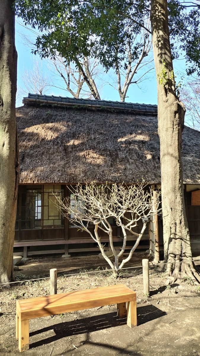 KandaMori's tweet image. Kanda Mori Net - kandamori.net
"Walking and Original Music"
A walk one day. Roka Park, Gotokuji Temple, OLD NEPAL closed, Kyodo, Roka Park again, Chitose-Karasuyama, a 300 yen bento box bought at a business supermarket.
#soundscapes #ambient #walking