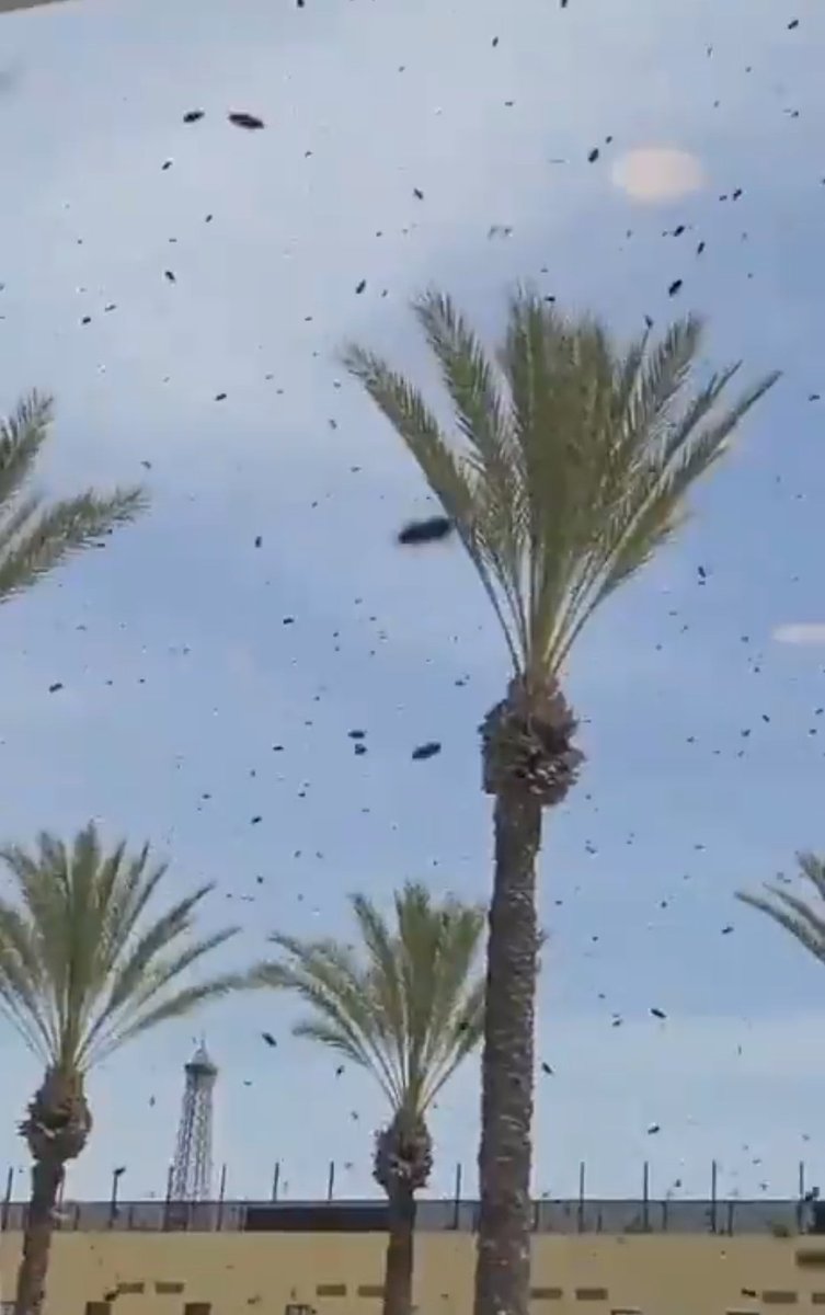 La Maison Presse tweet media