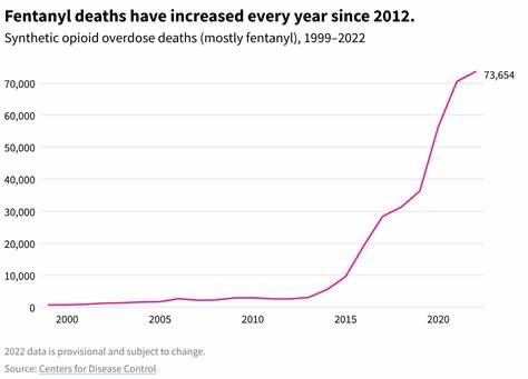 crickets_ghost1's tweet image. And speaking of deadly poison…. Here’s Mr tough on crime execute drug lords Mexico will pay for the wall’s #fentanyl death chart from his first term.

Whoa, looks like a rocket ship straight north from 2017-2020!

Ma’am.