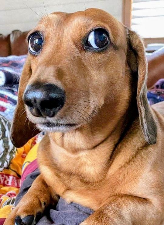 ȚÙŘƝÍP💚🏳️‍⚧️ tweet media