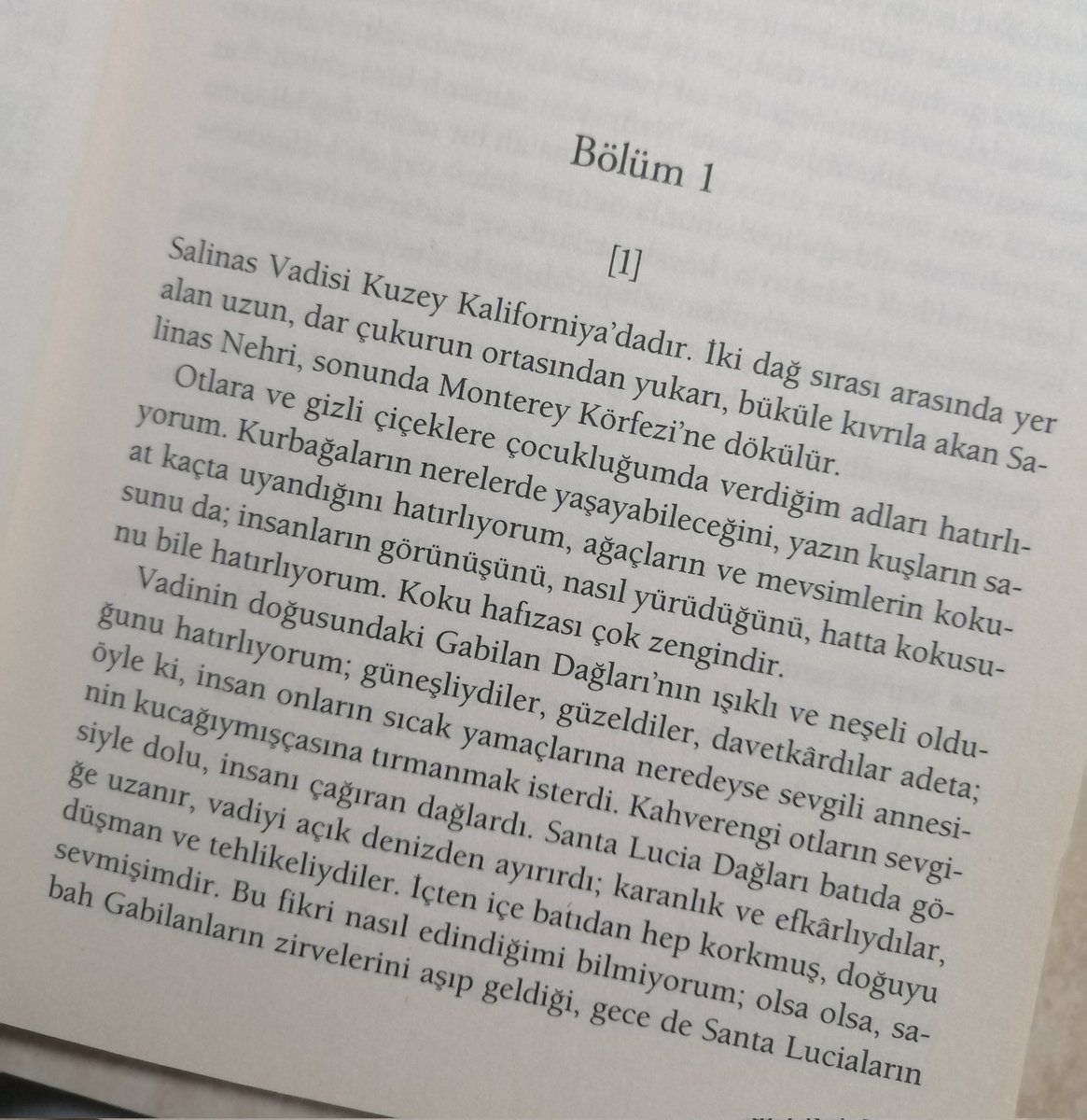 realistanblue's tweet image. #Salinas ☕