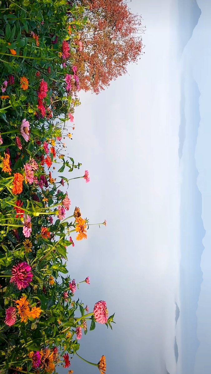 syed_sajid1314's tweet image. "Immerse in brushstrokes that whisper stories—this canvas breathes color, not just paints it.  #ArtInEveryStroke #CreativeVibes"