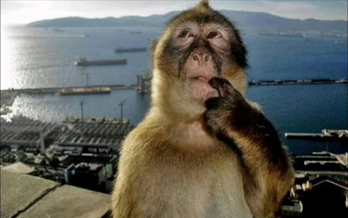 🙂bud🙂 tweet media