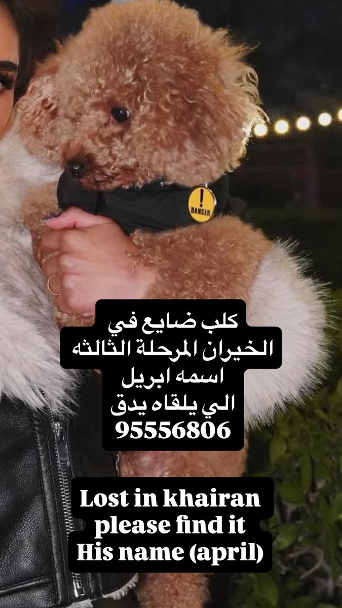 دلال نجيب مبارك القبـندي 🩷🎗️ tweet media