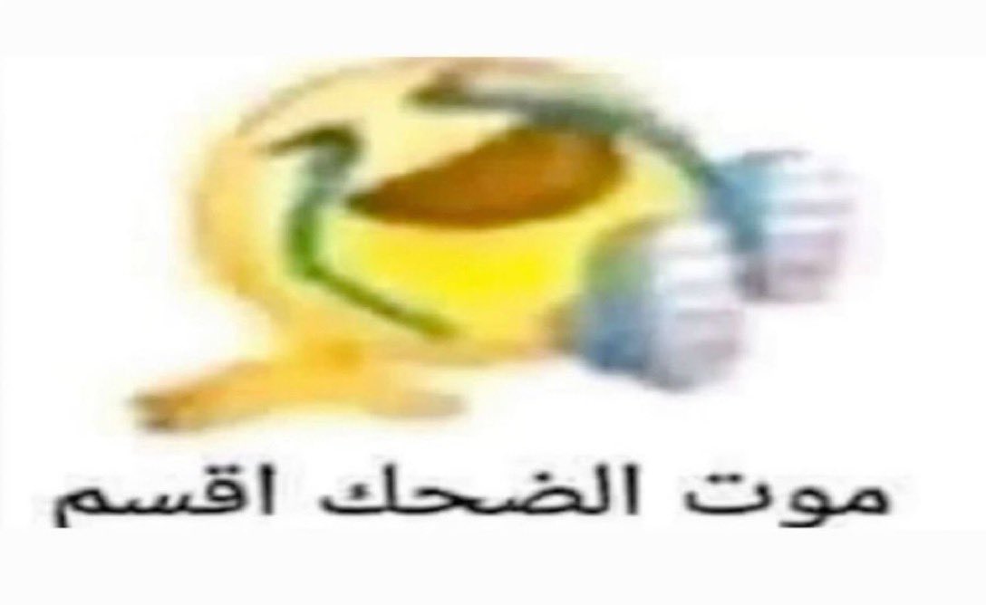 H tweet media
