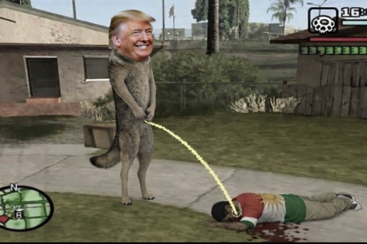 رِدِبی بول tweet media