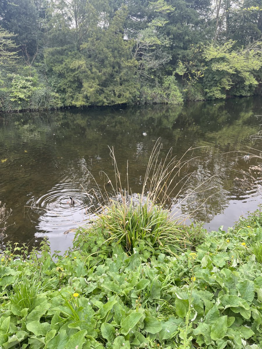 matt 🤠 tweet media