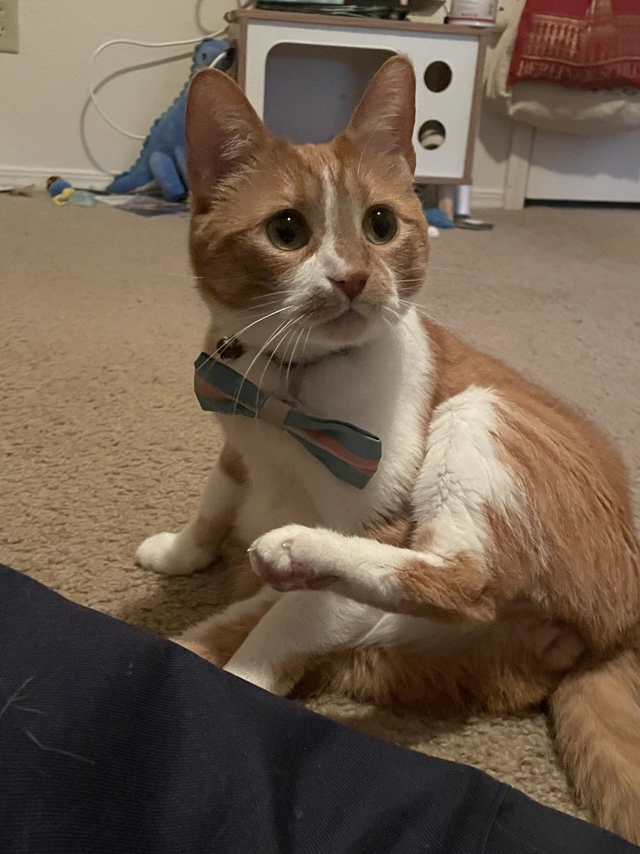 vinny 🧡 thomas, freckles, dumpling tweet media