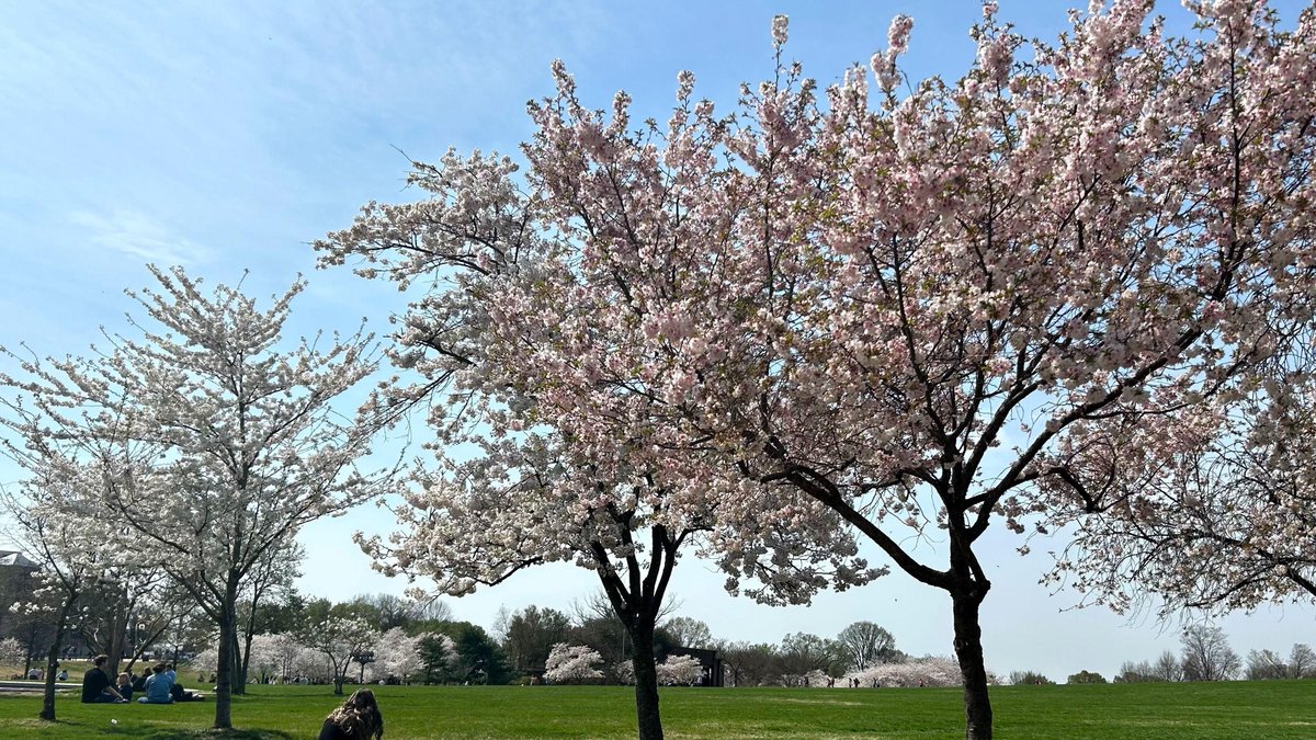 Radio Nacional tweet media