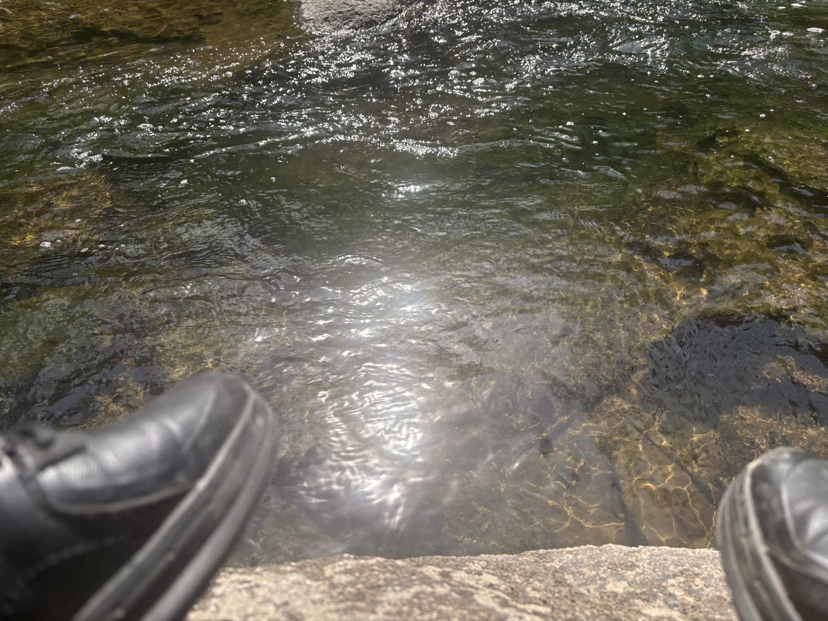 ⚜️𝒯𝒽𝑒 𝒟𝑒𝓂𝑜𝓃 𝒩𝒾𝒸𝑜𝓁𝑒⚜️ (@lagoddessnicole) on Twitter photo 