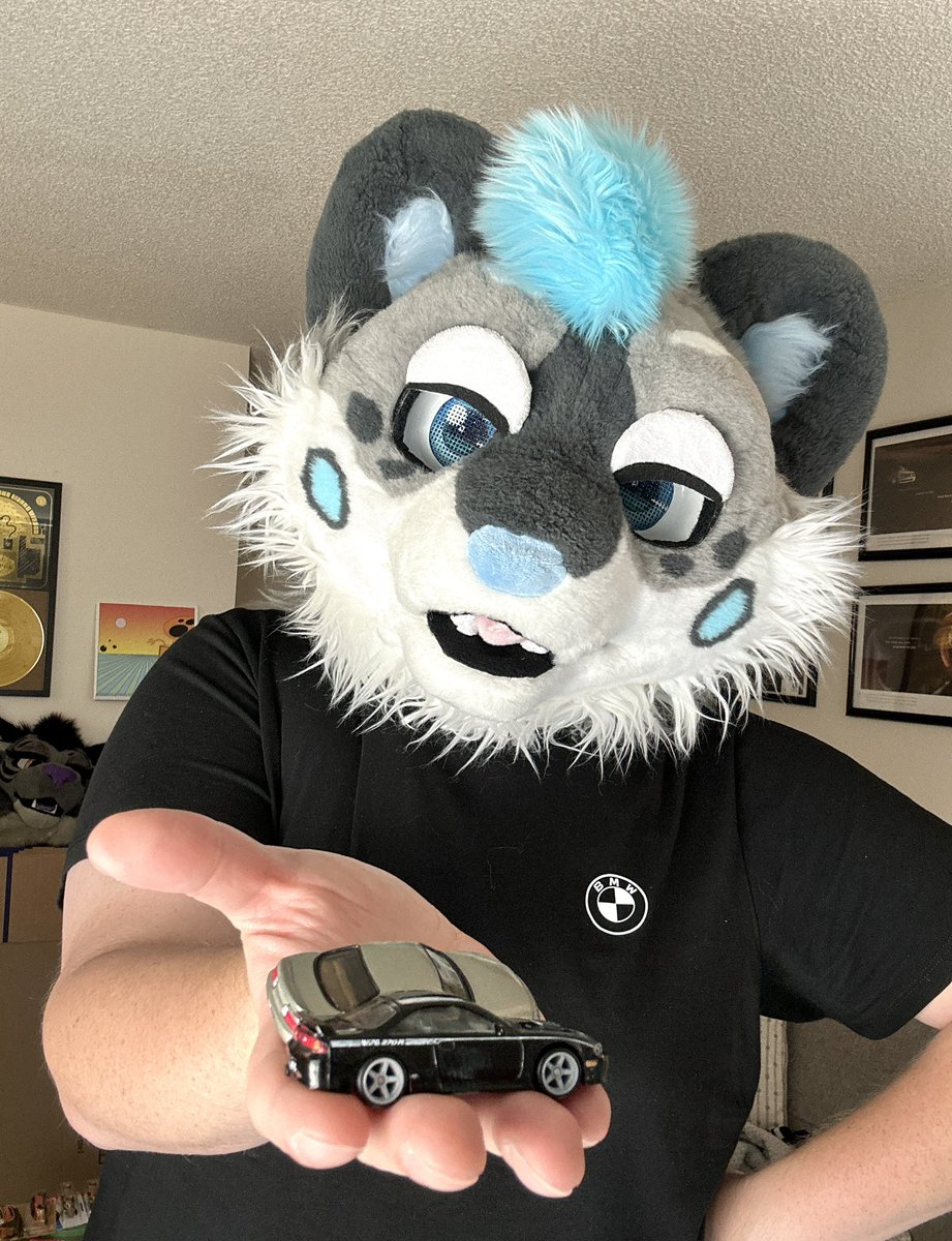 Limited-Snep Differential tweet media