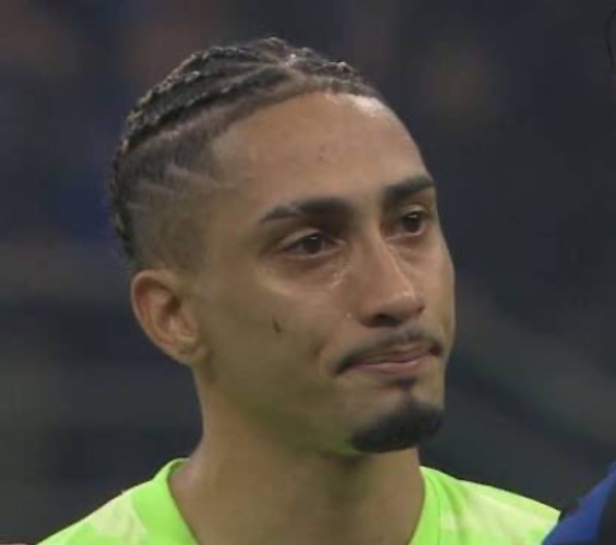 Berneese tweet media