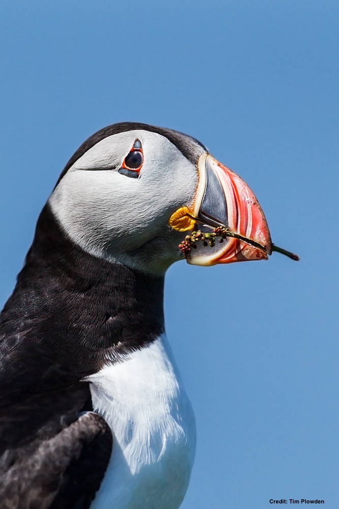 Dr Tom Montgomery tweet media