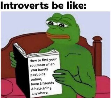 memes to save tweet media